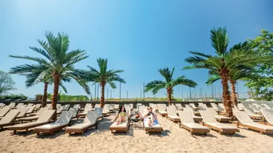 Palms Beach