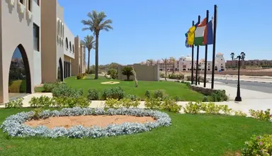 Palmyra Amar Al Zaman