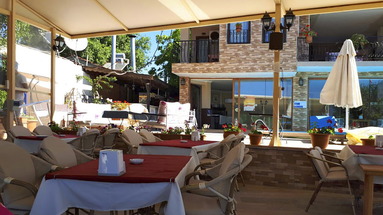 Palmyra (Dalyan)