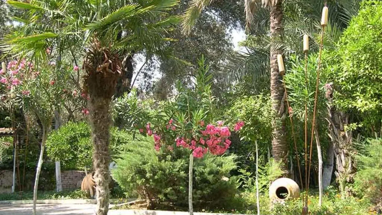 Paloma Marina Suites