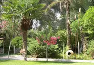 Paloma Marina Suites