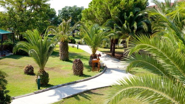 Paloma Paradise Beach
