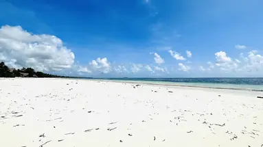 Palumbo Mnemba View Resort