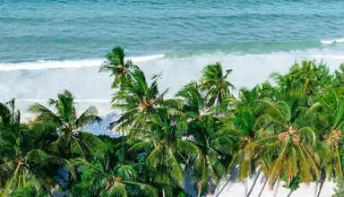 Palumbo Mnemba View Resort