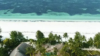 Palumbo Mnemba View Resort