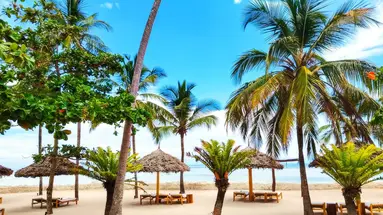 Palumbo Reef Resort