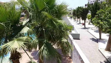 Pambos Napa Rocks