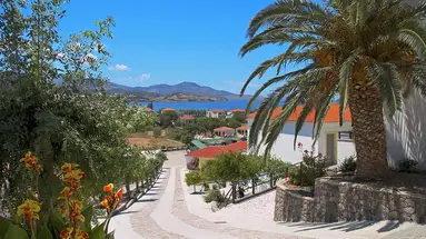 Panorama