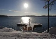 Panoramic Oscar