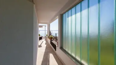 Pansion Amigos