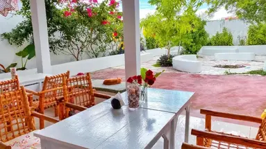 Papaya Guest House