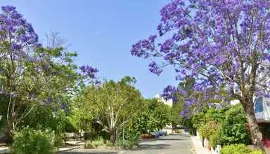 Paphos Gardens Holiday Resort 