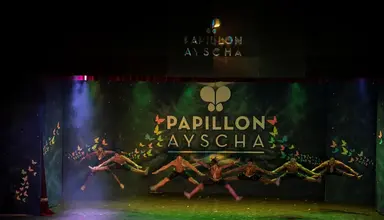 Papillon Ayscha