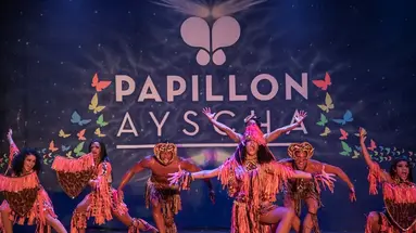 Papillon Ayscha