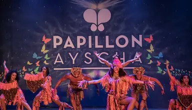 Papillon Ayscha