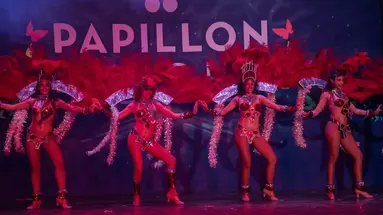 Papillon Ayscha