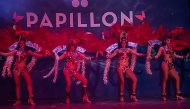 Papillon Ayscha