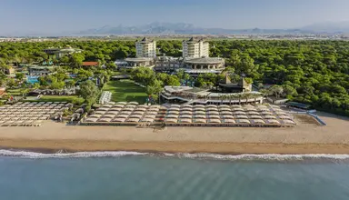 Papillon Zeugma Reluxury