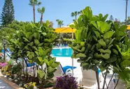 Papouis Protaras
