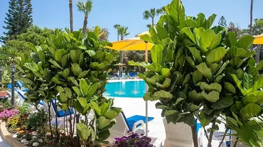 Papouis Protaras