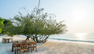 Paradee Resort