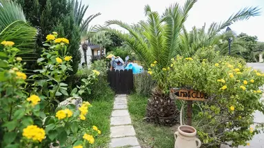 Paradis Palace