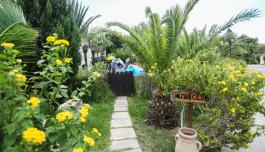 Paradis Palace
