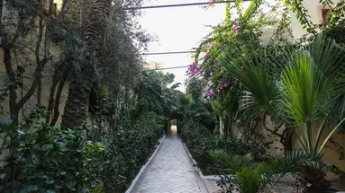 Paradis Palace