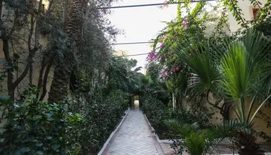 Paradis Palace