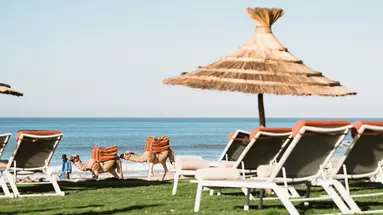 Paradis Plage