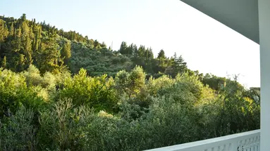 Paradise Beach Apartments