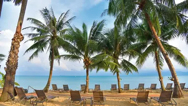 Paradise Beach Resort