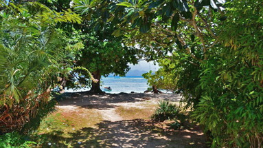 Paradise Flycatcher Lodge