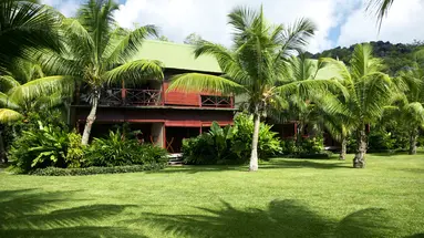 Paradise Sun