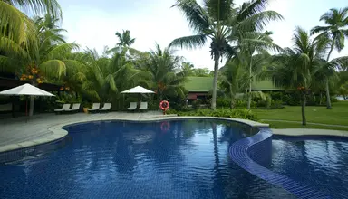 Paradise Sun