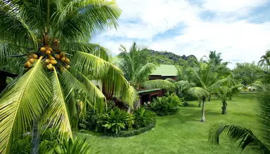 Paradise Sun