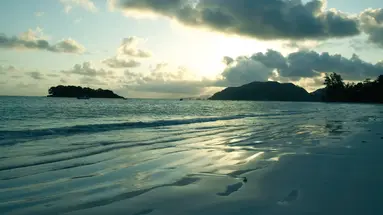 Paradise Sun