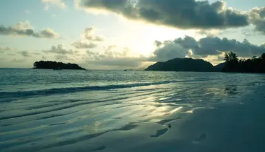 Paradise Sun