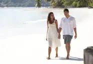 Paradise Sun