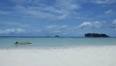 Paradise Sun