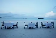Paradise Sun