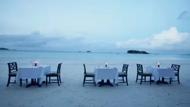 Paradise Sun