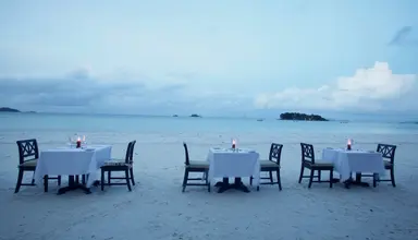 Paradise Sun