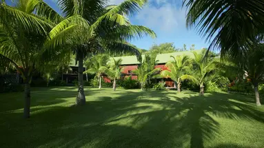 Paradise Sun