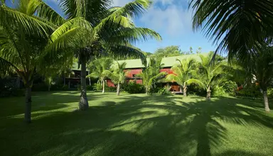Paradise Sun