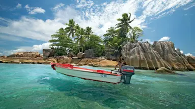 Paradise Sun