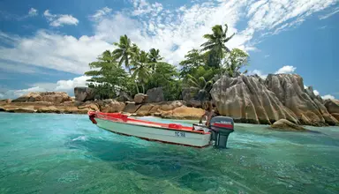 Paradise Sun
