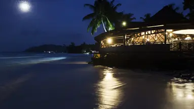 Paradise Sun