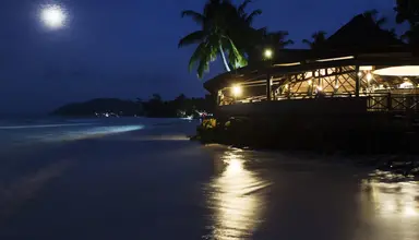 Paradise Sun