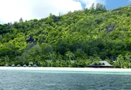 Paradise Sun